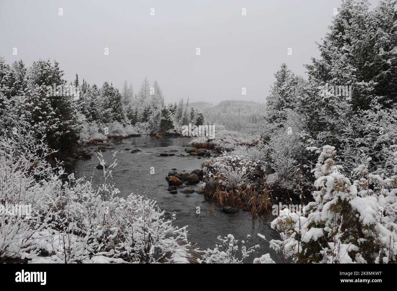 Paesaggio invernale che mostra la sua coperta bianca su alberi, fiume e con un cielo grigio con una sensazione di tranquillità di pace. Foto orizzontale. Foto Stock