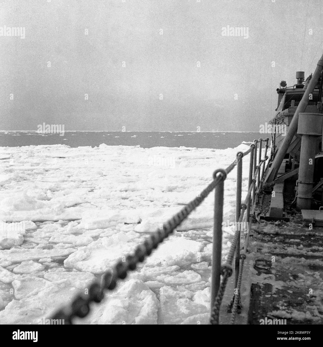 Vestisen, zona di Drivisen tra Islanda, Svalbard e Groenlandia, aprile 1956. Un totale di 9 foche norvegesi sono state congelate nel Vestisen, e la situazione è stata critica, fino a quando una tempesta da nord ha rotto il ghiaccio, e le navi sono state sciolte con il loro aiuto. Il vascello navale Valkyrien fu inviato in zona con un elicottero per salvare un trapper malato. Qui, il ghiaccio della nave guida Valkyrien. Foto: Bjørhovde / NTB / NTB Foto Stock