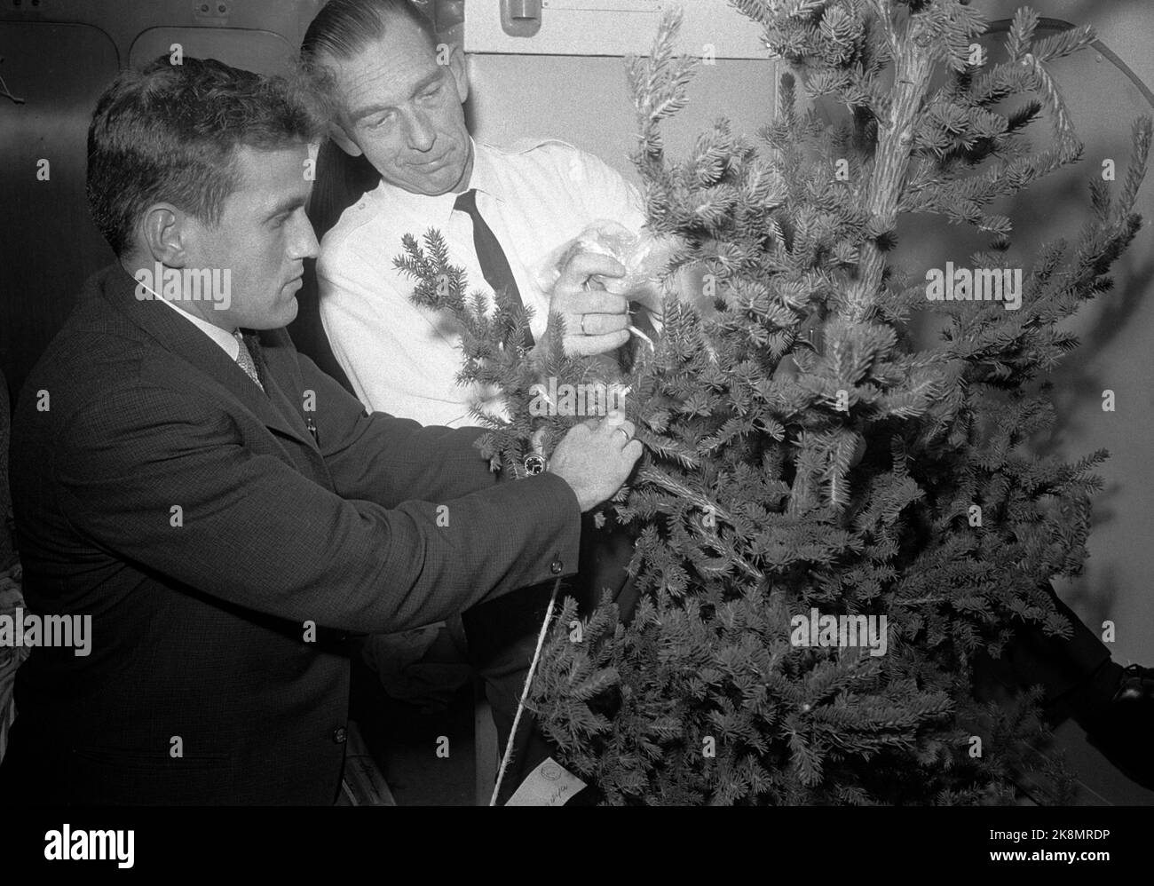 Svalbard 19651208 l'aereo di Natale per Svalbard, con posta, pacchetti di Natale e alberi di Natale dalla terraferma ai residenti di Svalbard. Il primo ingresso sulla rotta del volo di Natale è quello di inviare posta e forniture a coloro che soggiornano a Bjørnøya. Qui, l'albero di Natale è pronto per cadere dall'aereo. Il purser Prytz e Postmann Isaksen assicurano che una lanterna sia affollata all'albero, in modo che possa essere trovata nella notte polare. Foto: Thorberg / NTB / NTB Foto Stock