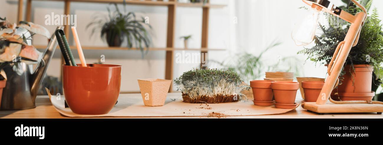 Piante e attrezzi di giardinaggio sulla tabella nel paese, bandiera, immagine di riserva Foto Stock