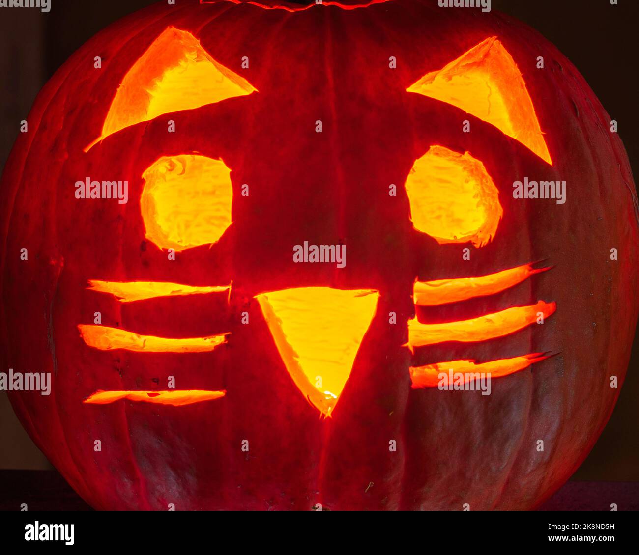 Un Jack-o'-lanterna con la faccia di un gatto si illumina di notte con la luce della candela. Foto Stock