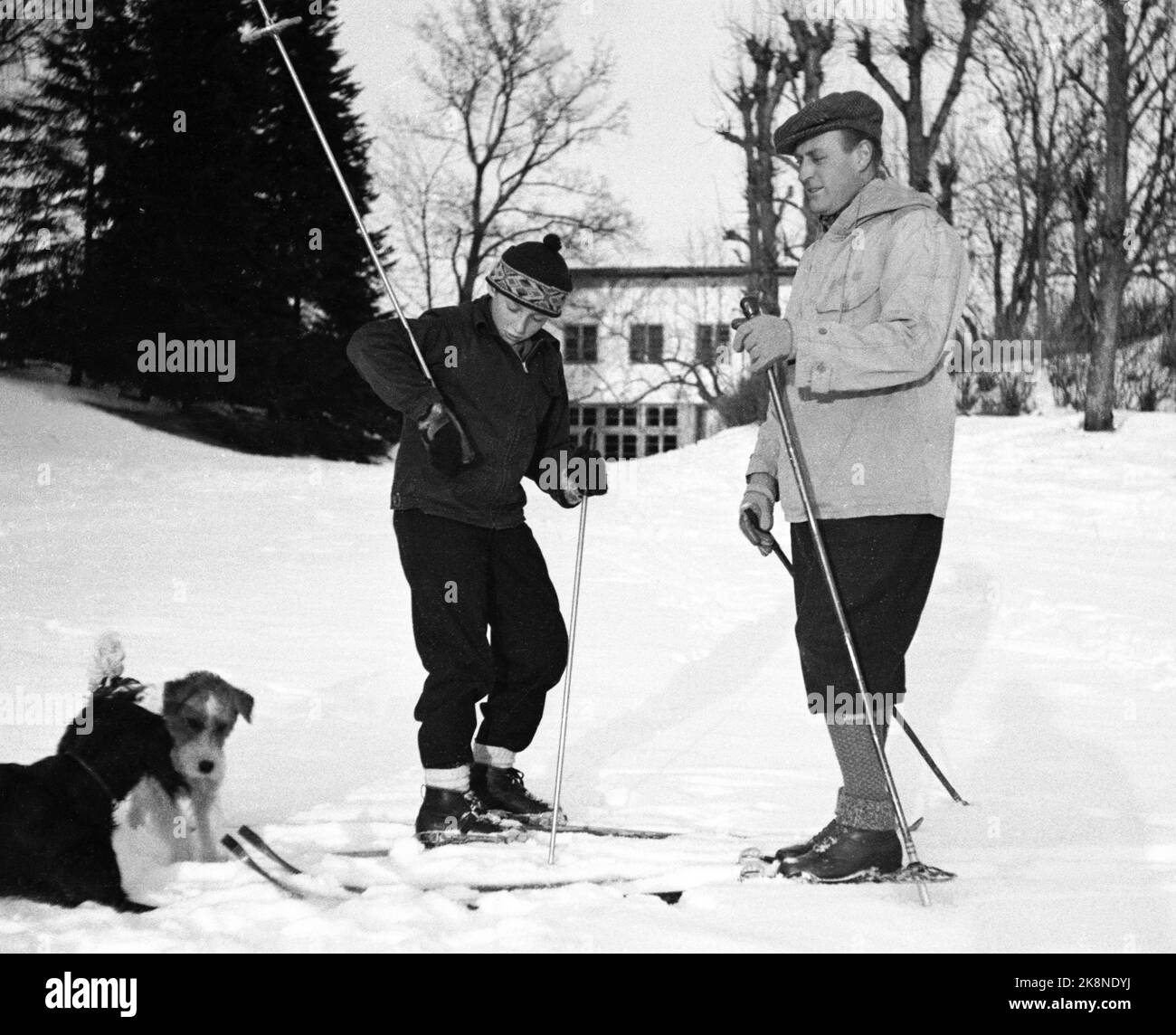Skaugum 19470214. Il principe Harald e suo padre, il principe ereditario Olav, sciano nel parco di Skaugum. Anche durante il viaggio di sci alcuni dei cani reali famiglia. La foto scattata pochi giorni prima del 10th° compleanno del principe. Foto archivio NTB / ntb Foto Stock