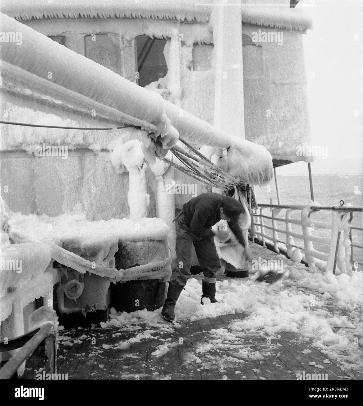 Vestisen, zona di Drivisen tra Islanda, Svalbard e Groenlandia, aprile 1956. Un totale di 9 foche norvegesi sono state congelate nel Vestisen, e la situazione è stata critica, fino a quando una tempesta da nord ha rotto il ghiaccio, e le navi sono state sciolte con il loro aiuto. Qui gli equipaggi che trita ghiaccio su una nave di dimensioni ridotte. Foto: Bjørhovde / NTB / NTB Foto Stock