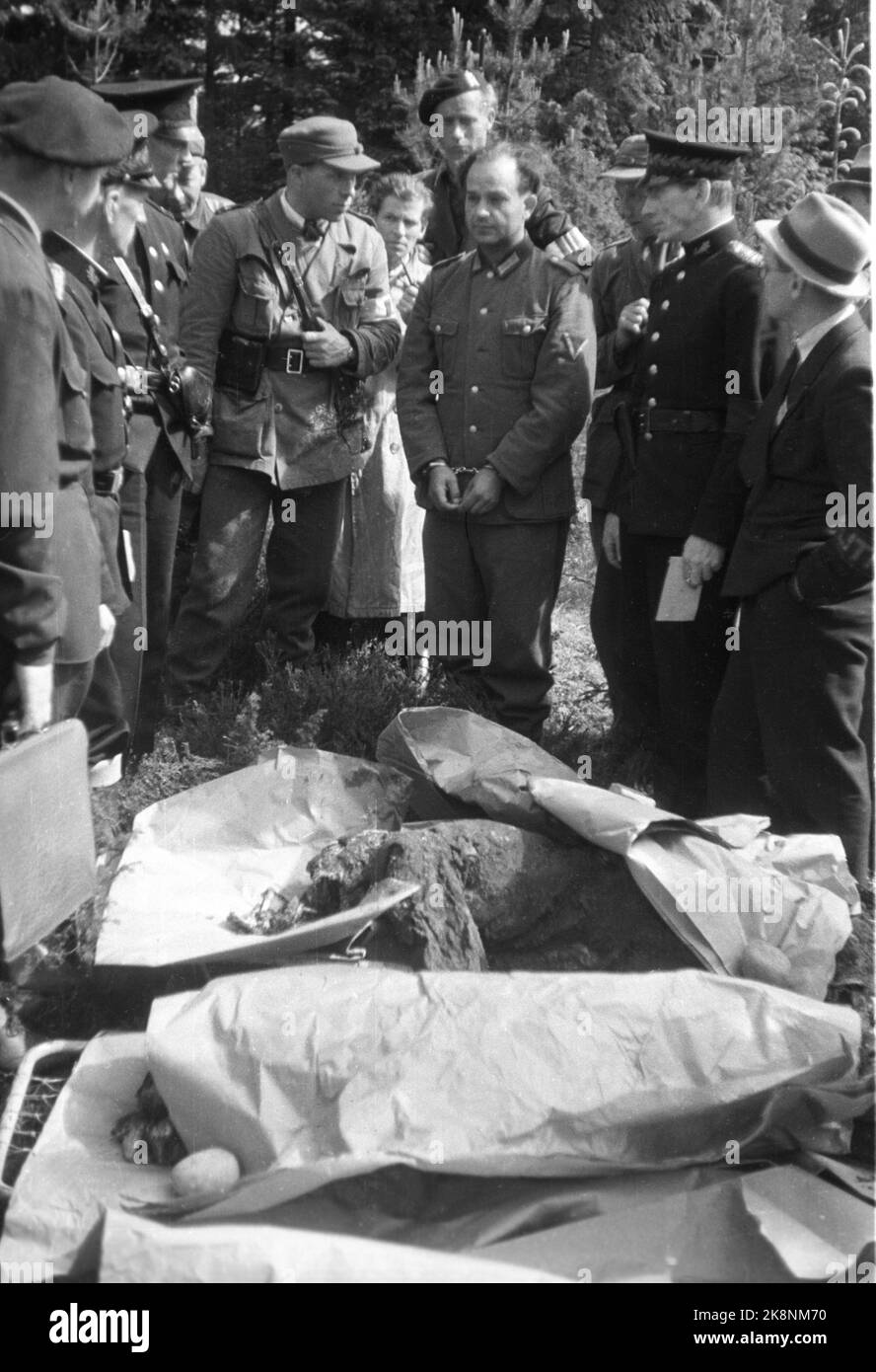 Trandum, Ullensaker 19450619. Gli scavi delle tombe di massa sulla foresta di Transdum a seguito delle esecuzioni durante la guerra. Criminali di guerra arrestati accusati di frode fondiaria sono stati prelevati dalla prigione per guardare gli scavi delle tombe di massa. Uno degli imputati, SS Obersturmfürer Oscar Hans, che ha guidato le esecuzioni nella foresta di Trandum, al centro dell'immagine con manette e uniforme, ha mostrato un certo numero di tombe. T.H. Per lui, ufficiale di polizia Lindboe Nordtømme alla polizia criminale di Oslo. Foto archivio NTB / ntb Foto Stock