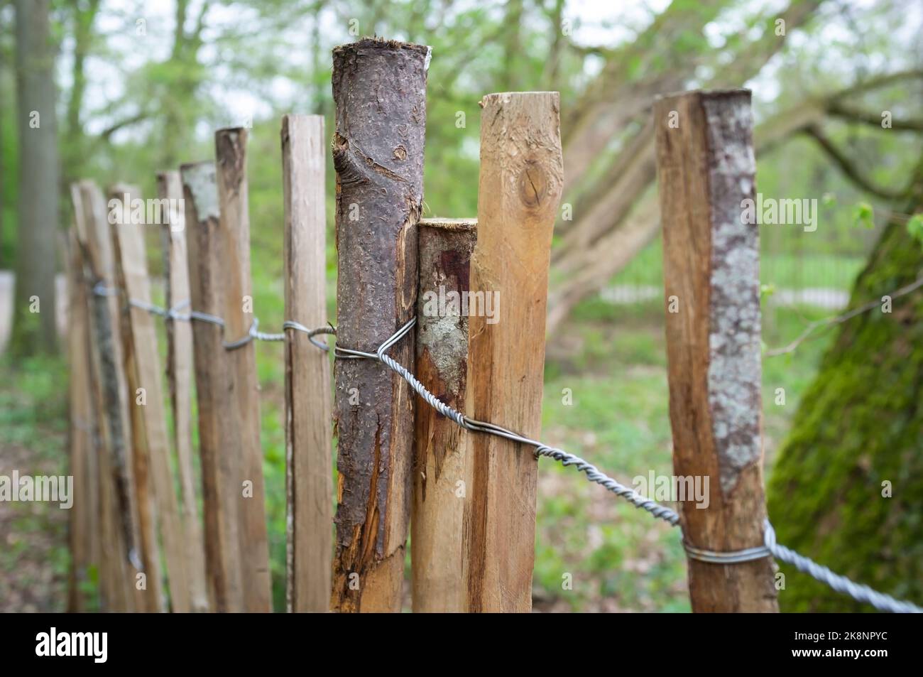 Recinzione in doghe di legno e filo ritorto, sullo sfondo di alberi. Limitazione dell'accesso alla proprietà privata. Foto Stock