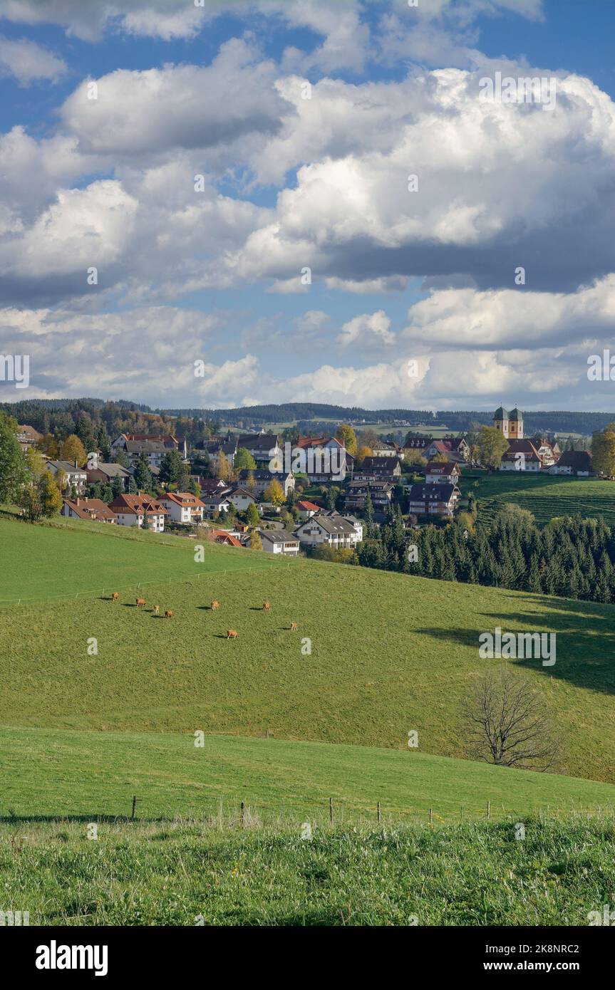 Famoso villaggio di Sankt Maergen nella Foresta Nera,Germania Foto Stock