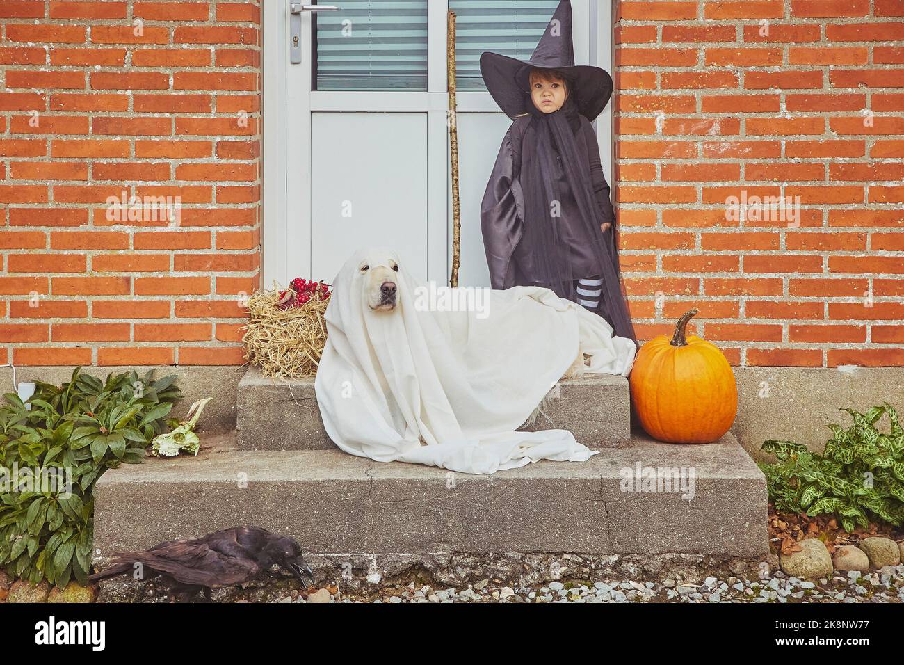 Adorabile bambino triste con cane sul portico vestito in costumi di Halloween Foto Stock