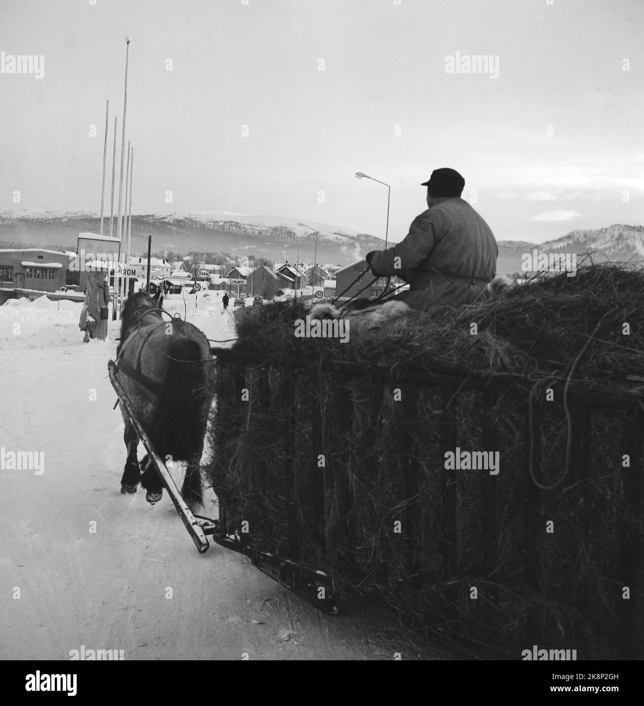 Tynset 11 febbraio 1967, rapporto sul villaggio più freddo della Norvegia, Tynset. Qui Olav KROKEN, che non ha problemi a guidare cavalli e carrozze a 30 - 40 meno gradi, ma non è confortevole. Foto: Aage Storløkken / corrente / NTB Foto Stock