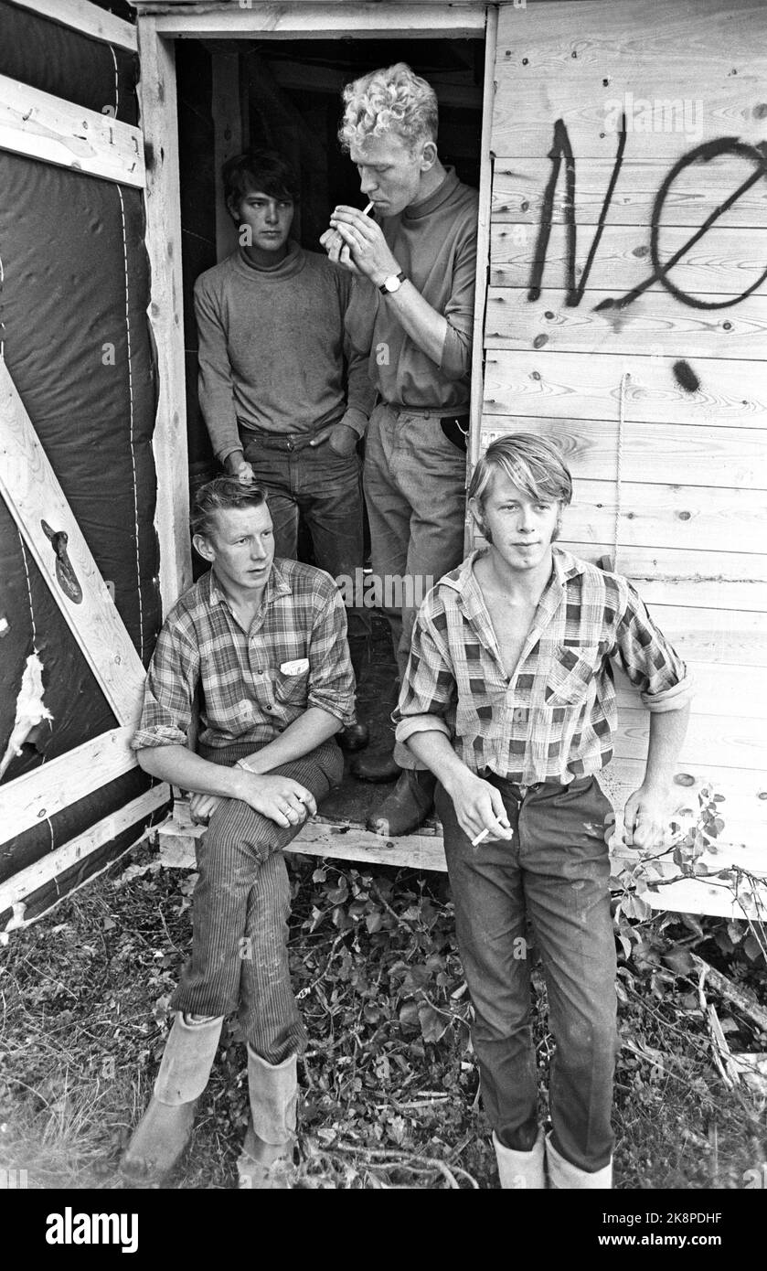 Sogn og Fjordane 19700701. Il tiro del cavo sulla montagna è un lavoro impressionante fatto da giovani installatori dalla linea A/S edificio a Molde. Sono state allestite funivie per il trasporto di equipaggio e materiali; montanti in acciaio e rotoli di cavi. Qui: Le finali hanno una pausa fumo. Slogan sulla caserma dietro di loro: No alla CEE ??? Foto: Per Ervik / corrente / NTB Foto Stock