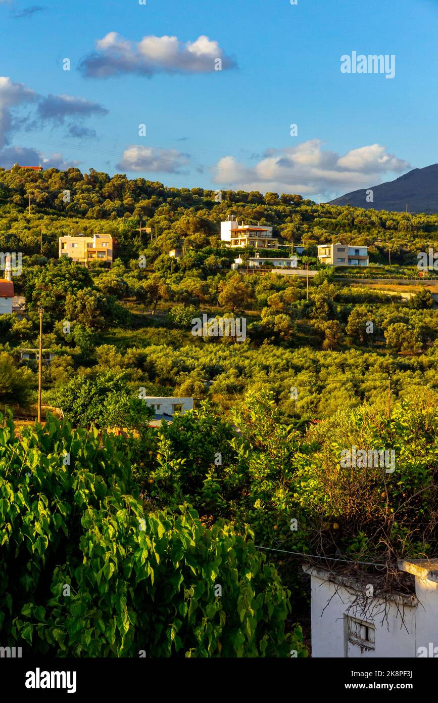 Case e alberi sulle colline vicino Rethymnon a Creta un'isola greca nel Mar Mediterraneo. Foto Stock