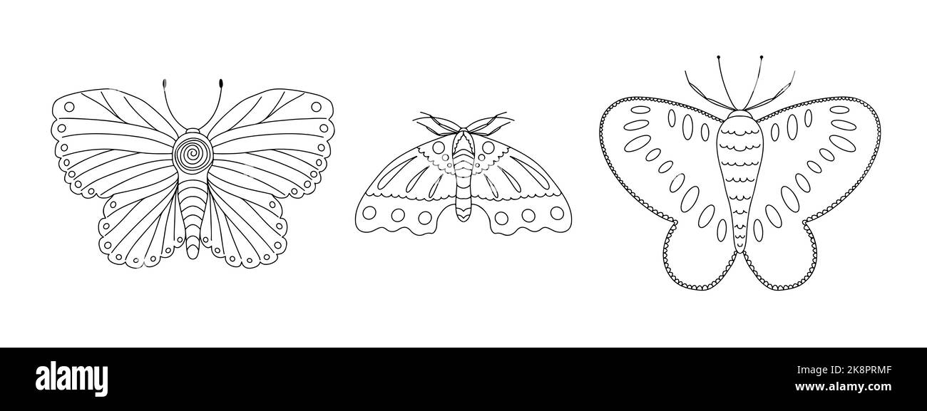 Bella collezione di farfalle in stile doodle disegnata a mano. Design carino per biglietti d'auguri, invito alla festa, stampa di abiti alla moda. Vettore Illustrazione Vettoriale Bella collezione di farfalle in stile doodle disegnata a mano. Design carino per biglietti d'auguri, invito alla festa, stampa di abiti alla moda. Vettore Illustrazione Vettoriale