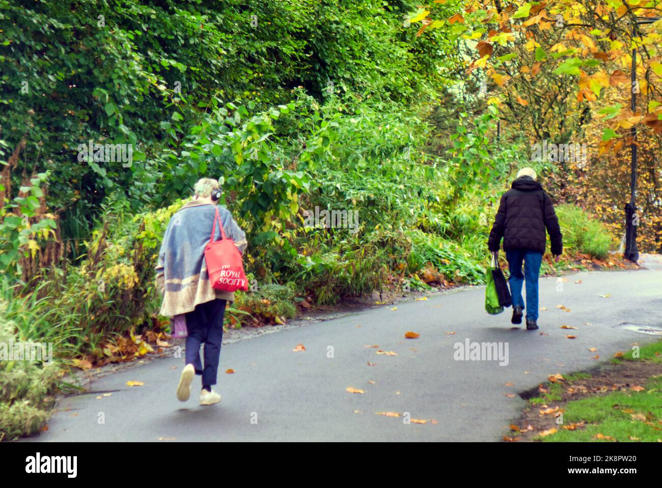 Giardini botanici parco sentiero nel verde West End Foto Stock