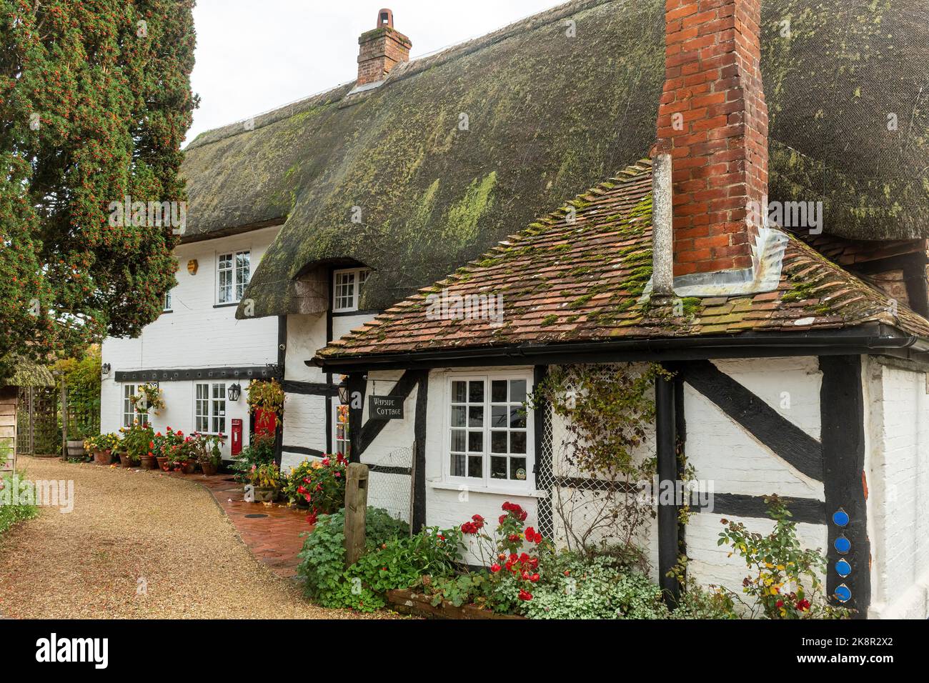 Casa di cottage con tetto di paglia nel pittoresco villaggio Hampshire di Upton Grey, Inghilterra, Regno Unito, durante l'autunno o ottobre Foto Stock