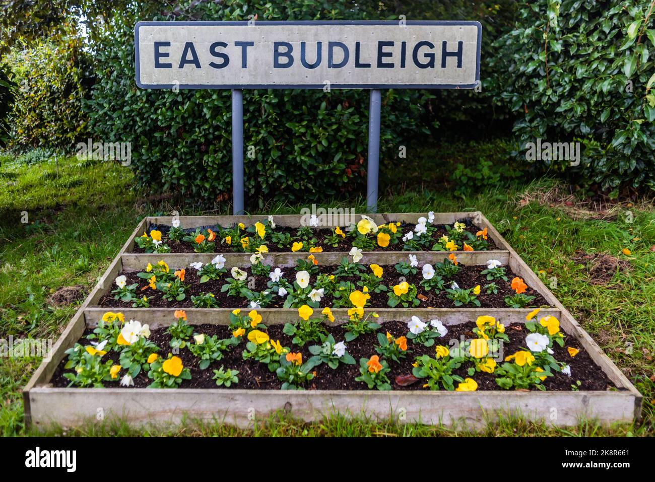 East Budleigh a Bloom. Piantando fuori in autunno. Foto Stock