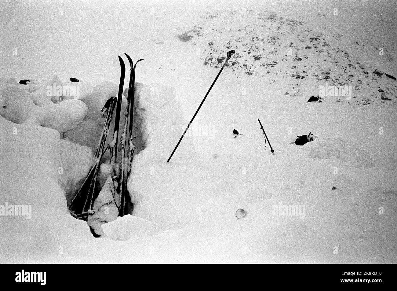 Jotunheimen Marzo 1967 Pasqua 1967 è diventato il peggior incidente mai accaduto. 16 persone sono morte nella neve sulla montagna pasquale. Qui dall'operazione di salvataggio a Kloktingstind a Jotunheimen, dove quattro sono stati uccisi e tre sono stati salvati dopo una notte di orrore in tempeste. Sci e attrezzature appartenenti a qualcuno che aveva scavato giù. Foto: Laurvik / NTB / NTB Foto Stock