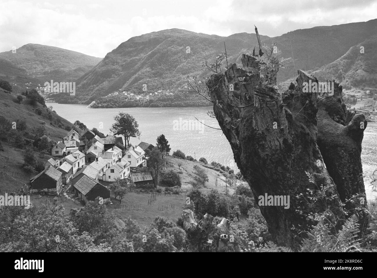 Osterøy 19680727. Havråtunet a Osterøy a Hordaland è un cantiere dove il passato è ancora vivo. Intorno all'anno 1300, Havråtunet era un'azienda agricola ben fondata. Ecco una panoramica di Havråtunet. Foto: Sverre Børretzen corrente / NTB Foto Stock