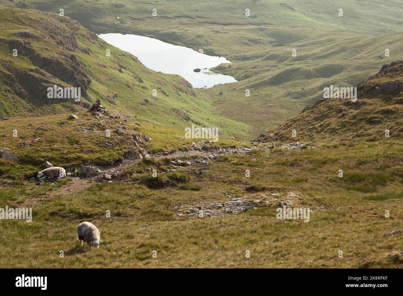 Codale Tarn in testa Easedale, nel Lake District inglese Foto Stock