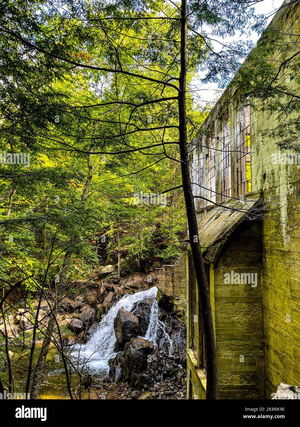 Uno scatto verticale delle rovine di Carbide Willson trovate in una foresta Foto Stock