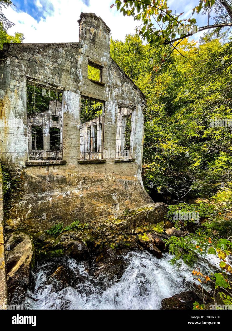 Uno scatto verticale delle rovine di Carbide Willson trovate in una foresta Foto Stock