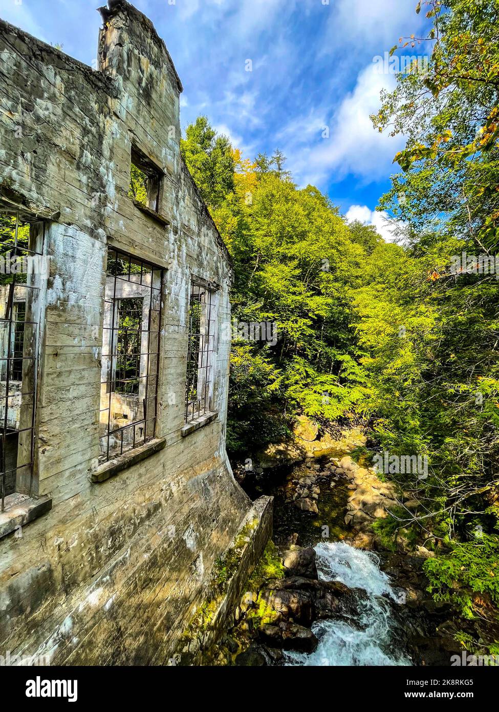 Uno scatto verticale delle rovine di Carbide Willson trovate in una foresta Foto Stock