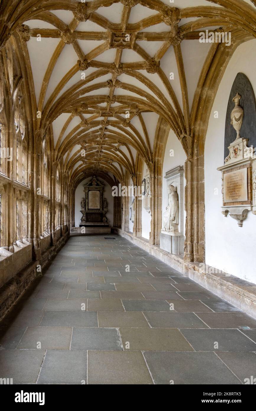 Vista lungo il chiostro che mostra la volta di lierne, la Cattedrale di Wells, Somerset, Inghilterra, Regno Unito. Foto Stock