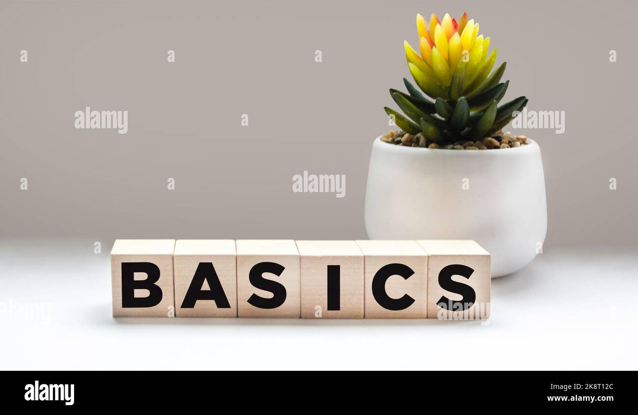 Simbolo di base. Concetto della parola principi fondamentali su cubi di legno. Bellissimo sfondo bianco con cactus. Concetto di business e di base. Spazio di copia. Foto Stock Simbolo di base. Concetto della parola principi fondamentali su cubi di legno. Bellissimo sfondo bianco con cactus. Concetto di business e di base. Spazio di copia. Foto Stock