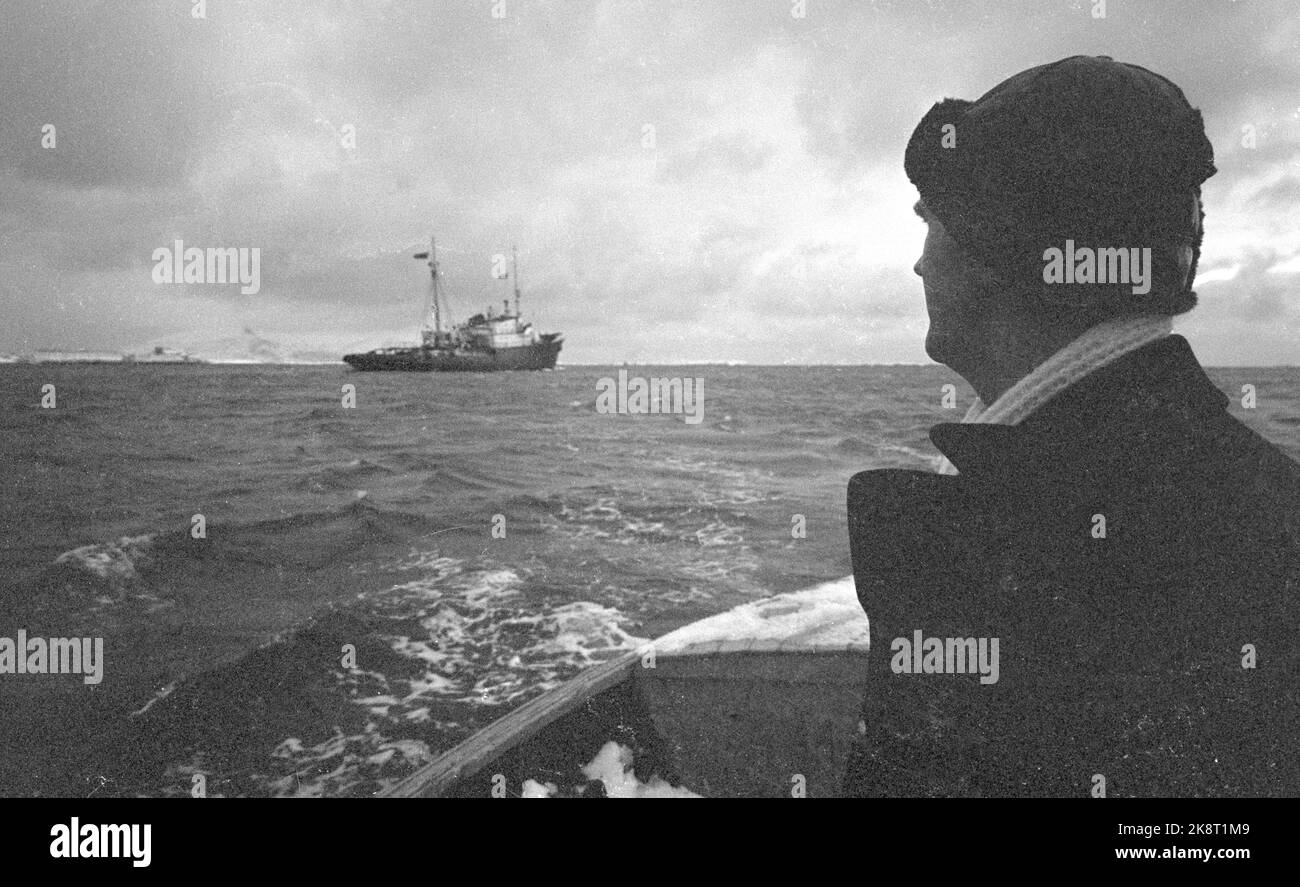 Bodø 19650327 i russi si trovano sull'aringa. I russi hanno investito molto nella pesca nell'Atlantico settentrionale. Una flotta di circa 300 barche era dopo l'aringa al largo della costa settentrionale, che prendono aringa con reti da posta derivanti. L'attuale barca di servizio 'Stremitelnyi', che ha un medico, sorella ammalata, officina e cinema a bordo. La luce del porto cerca 'Stremitelnyi' che va oltre il campo. E 'stato costantemente uscendo e tra la flotta di pesca russa e Bodø. 'Stremitelnyi' significa qualcosa di simile a 'velocità a regime in tempeste'. Foto; Ivar Aaserud / corrente / NTB Foto Stock