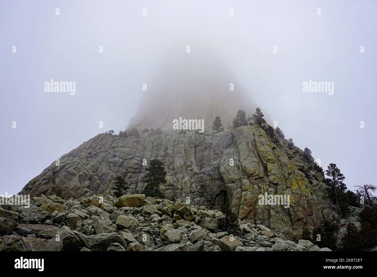 Un angolo basso del monumento nazionale della torre del Diavolo in una giornata di nebbia nel Wyoming, Stati Uniti. Foto Stock