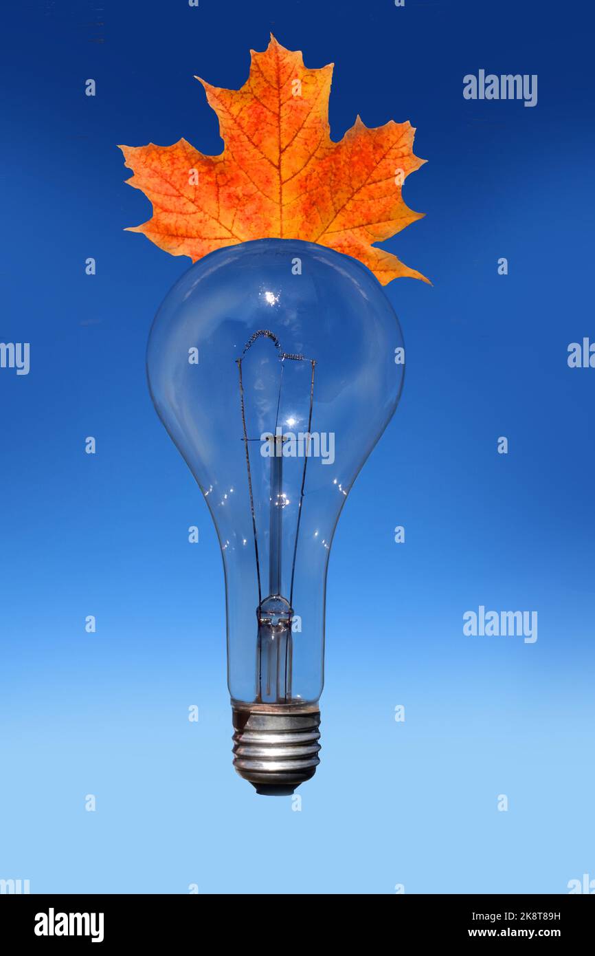 Lampadina come simbolo di idee brillanti Foto Stock