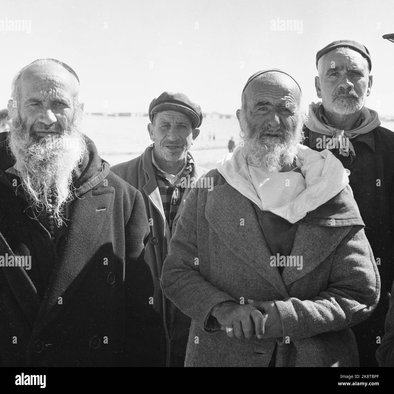 Israele 1958 marzo 'il 14 maggio 10 anni fa, Israele fu dichiarato uno Stato indipendente. Nel giro di poche ore, il giovane stato era in lotta per la vita e la morte con i suoi vicini arabi, ma è sopravvissuto. Da allora c'è stata una posizione più o meno arme, e in questi 10 anni una nuova società è stata calpestata dalla terra. ' Foto; Sverre A. Børretzen / corrente / NTB Foto Stock