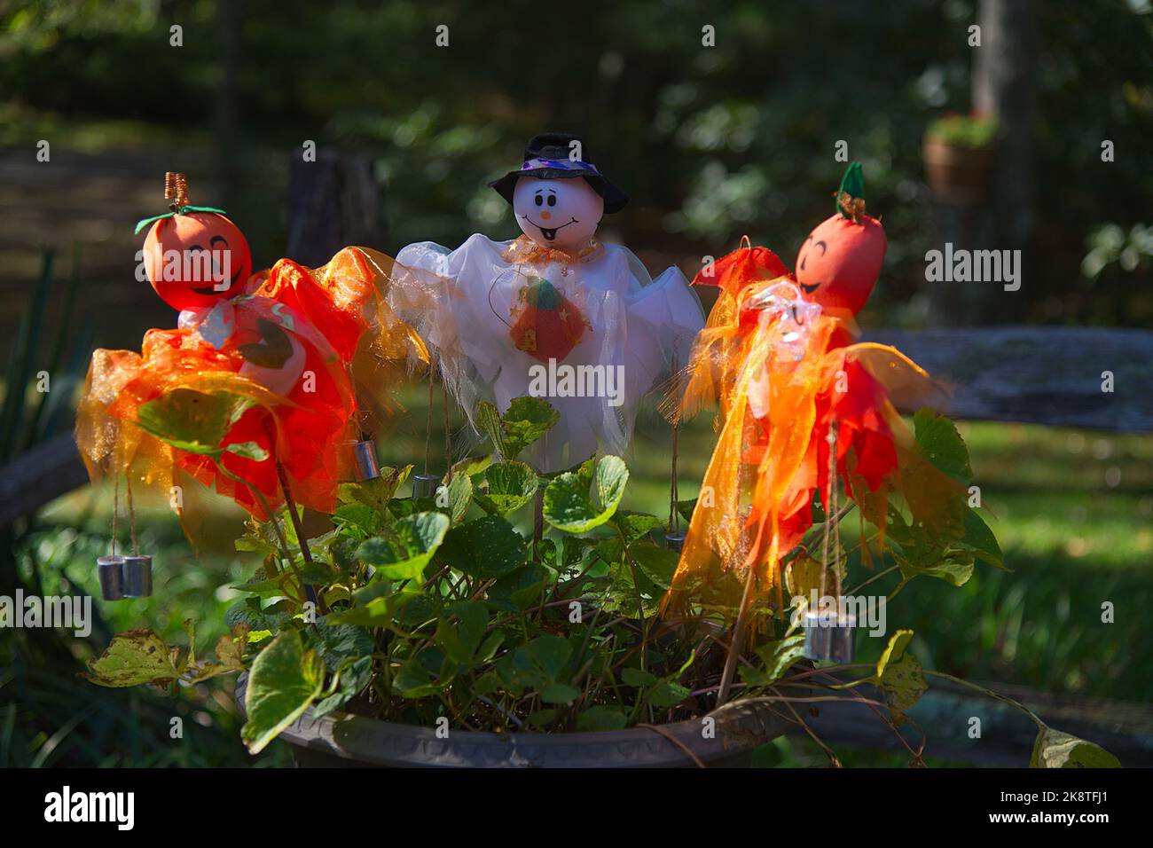 Decorazioni di Halloween a Dennis, Massachusetts, su Cape Cod, USA Foto Stock