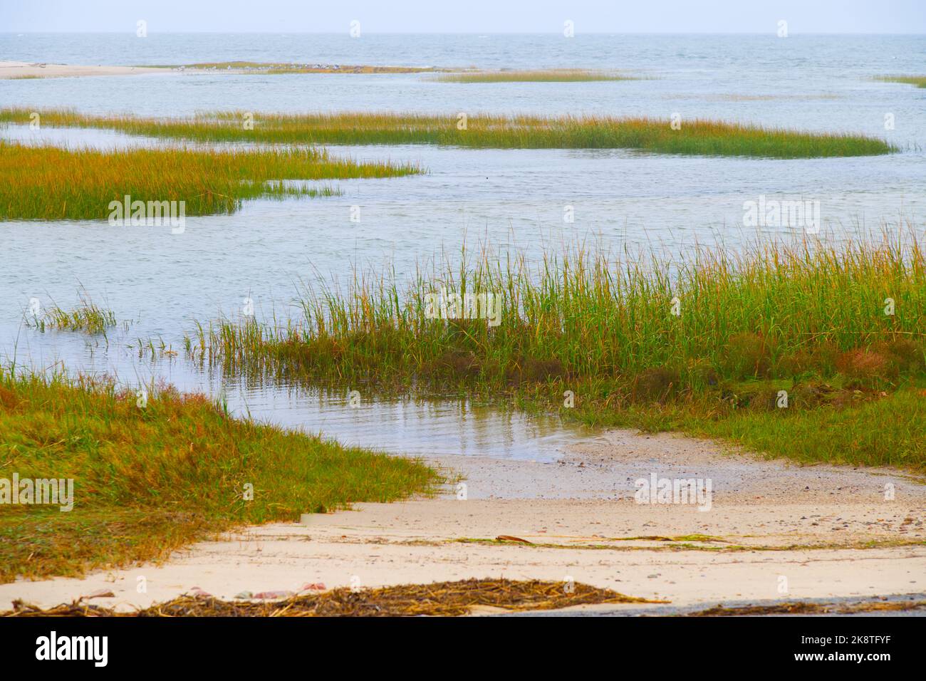 Paines Creek a Brewster, Massachusetts, a Cape Cod, in una giornata di nebbia Foto Stock