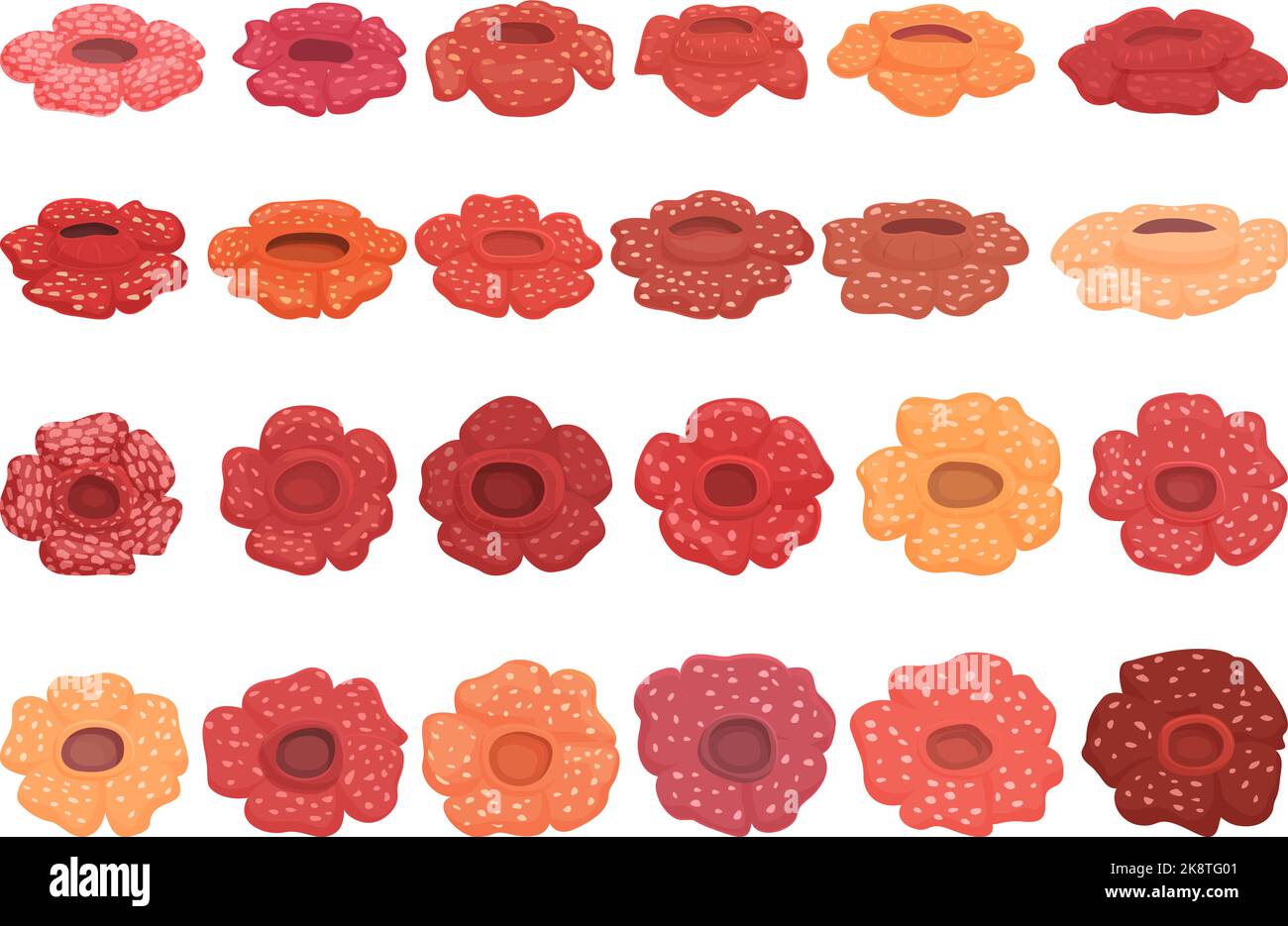 Le icone di Rafflesia impostano il vettore dei cartoni animati. Fioritura dei fiori. Bellezza asiatica Illustrazione Vettoriale