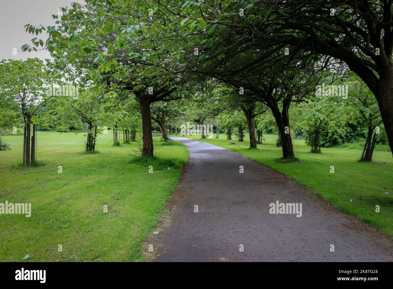 Percorso attraverso il parco / percorso alberato - Wavertree Botanic Gardens, Liverpool Foto Stock