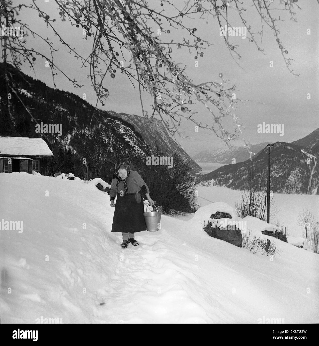 Dalen in Telemark, febbraio 1955. Ingerine e Gorine Schvenius (83 e 81 anni) vivono da soli nella piazza Roi o Rui nella valle del Telemark. Il tempo si è fermato in questa piccola piazza in alto nel mondo delle montagne. Qui, la urina è sulla strada per recuperare l'acqua, a circa 100 metri dalla casa. Foto: Aage Storløkken / corrente / NTB Foto Stock