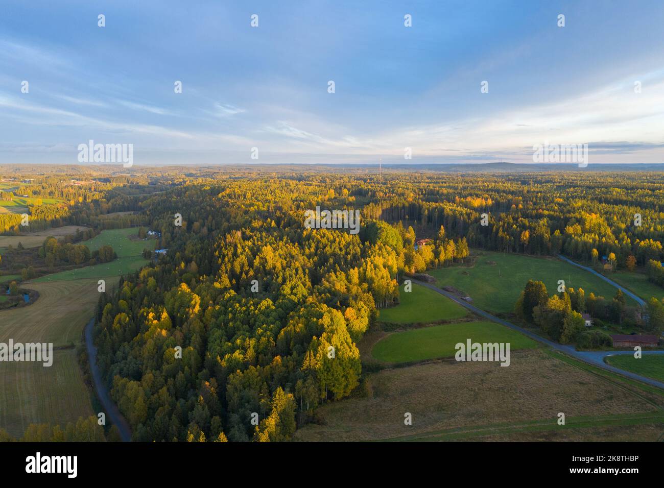 Luce della sera Foto Stock