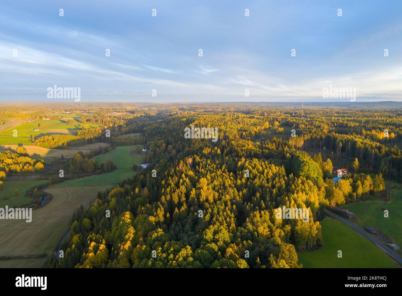 Luce della sera Foto Stock