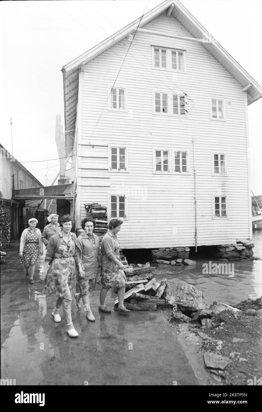Mongstad, 197106. Hydro è in procinto di istituire rifugiati petroliferi e industria petrolchimica nella comunità costiera. Qui, alcune donne lasciano la fabbrica di inscatolamento dopo la fine della giornata lavorativa. Foto: Per Ervik / corrente / NTB Foto Stock