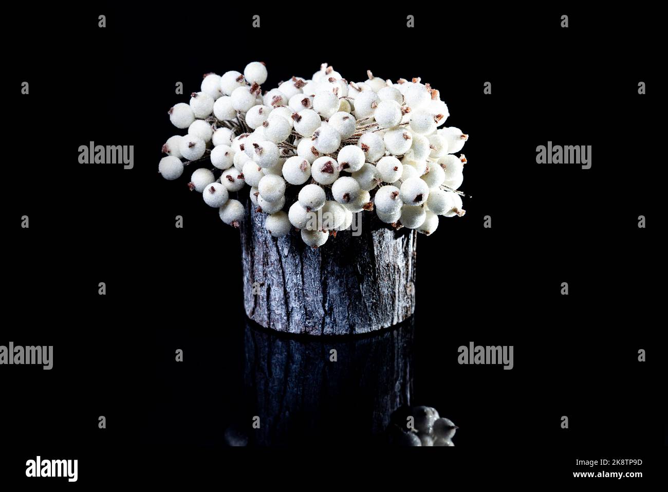 Un primo piano di vaso di legno con bacche bianche in ghiaccio. Il vaso in porcellana ha una superficie scanalata. Il vaso con un mazzo è isolato contro il b Foto Stock