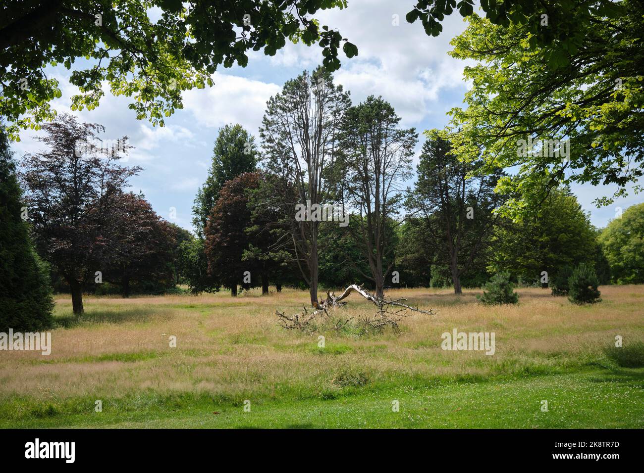 Llandaff Fields Cardiff South Wales Foto Stock