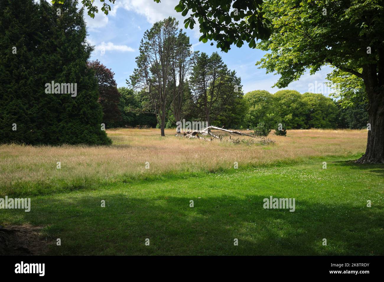 Llandaff Fields Cardiff South Wales Foto Stock