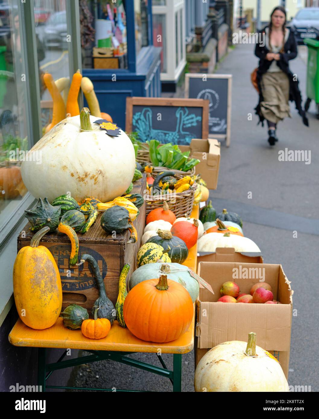 Una colorata esposizione di zucche autunnali colorate sul marciapiede fuori da un negozio di alimenti salutari a Sheffield. Foto Stock