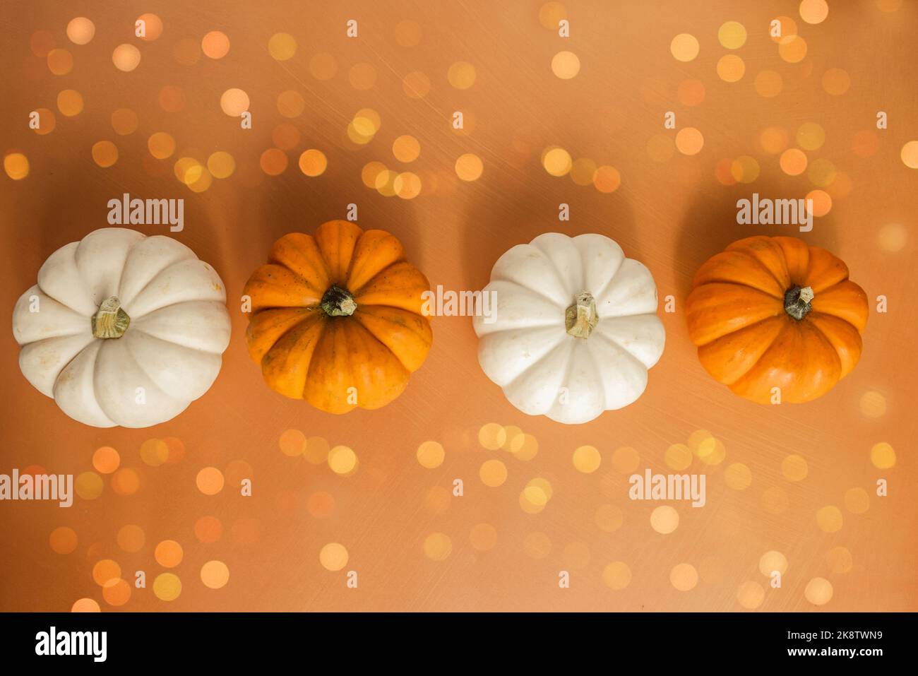 Una linea di zucche e foglie in miniatura su una superficie neutra arancione per il raccolto Halloween ottobre novembre arredamento casa Foto Stock