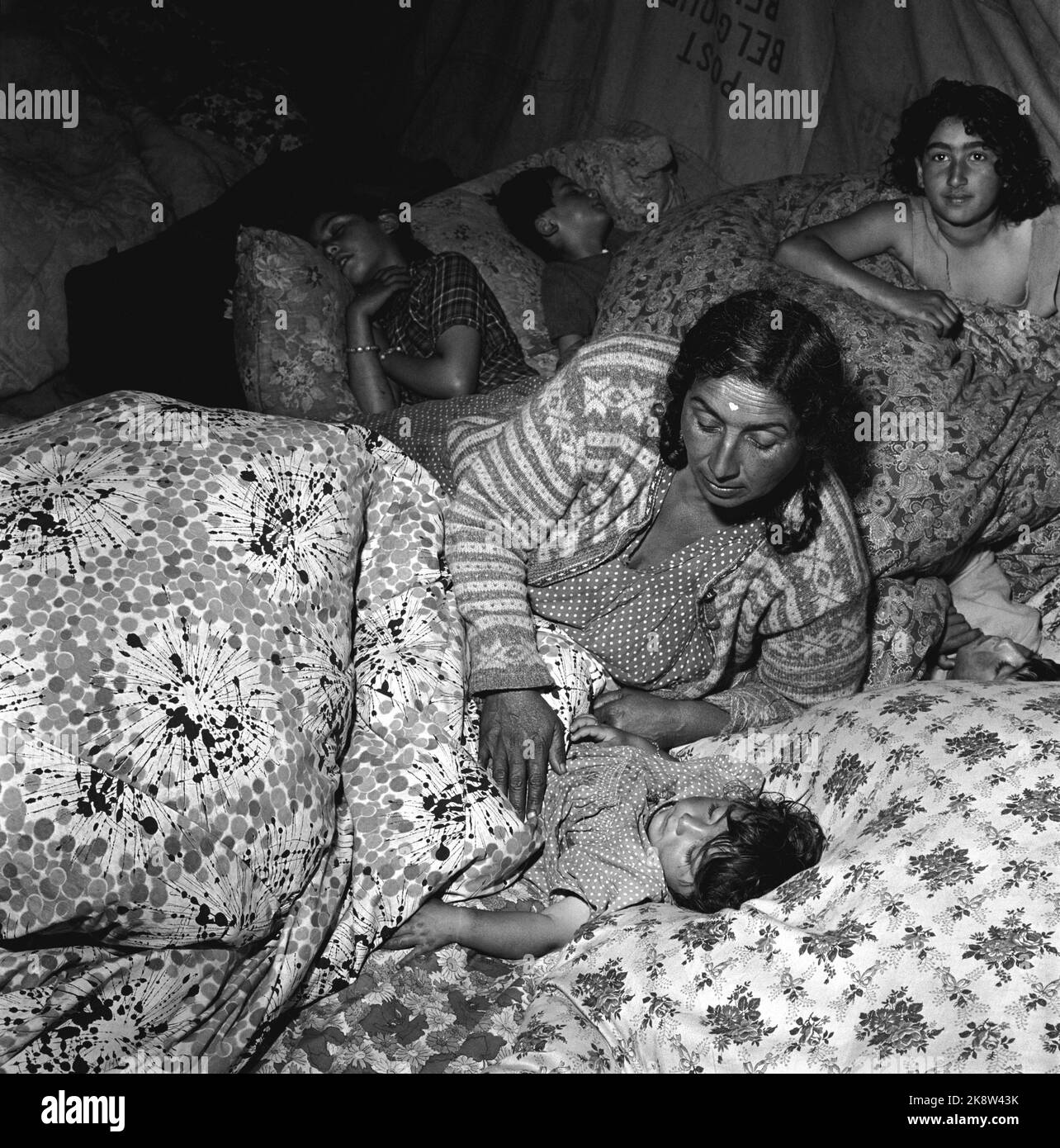 Lillehammer 1955 - dal campo di zingari a Vingnes. A tre delle quattro famiglie che vivono nel campo è stato detto di lasciare il paese entro 10 giorni. Secondo la legge norvegese, "gli zingari o altri volantini che non si allontanano per avere la cittadinanza norvegese non dovrebbero avere accesso al regno". Donna e madre con i figli sotto i piumoni della tenda. Tre dei bambini dormono. Foto: Aage Storløkken / corrente / NTB Foto Stock