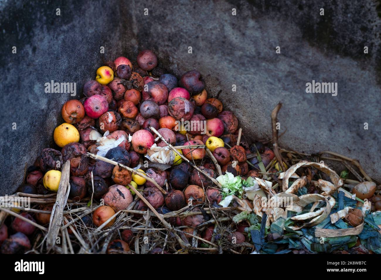 Avanzi gettati nel composto. Cibo e raschietti rovinati. Ravvicinato di mele e pere. Questioni ecologiche. Spazzatura. Concetto di spreco di cibo Foto Stock