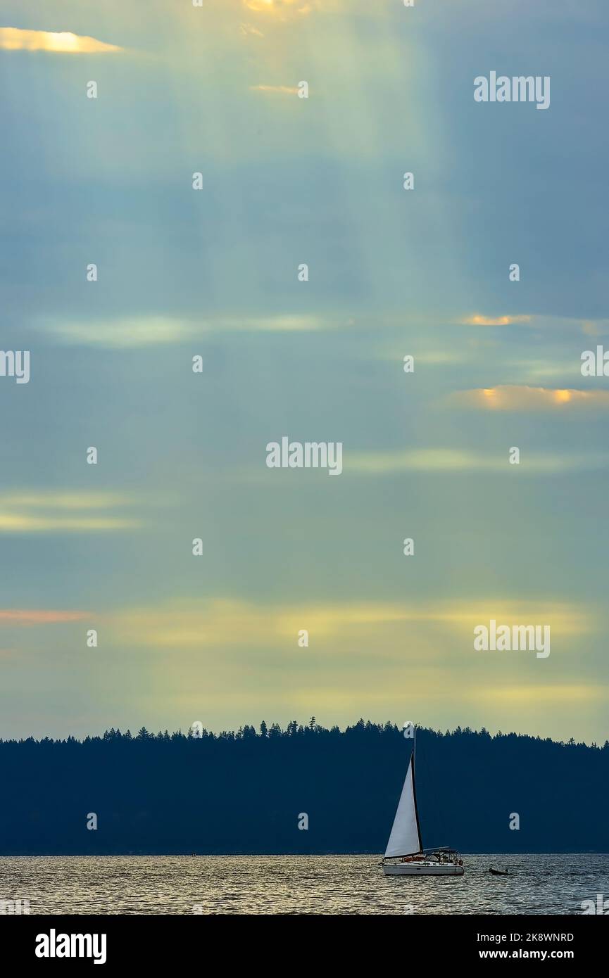 Una barca a vela che viaggia lungo la costa dell'Isola di Vancouver sulla costa occidentale della British Columbia Canada Foto Stock