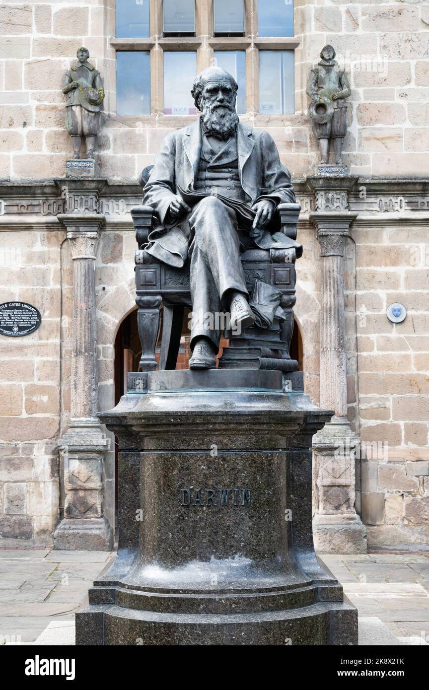 Shrewsbury, Regno Unito - 14 luglio 2022: Statua di Charles Darwin fuori dall'edificio del consiglio comunale a Shrewsbury, Inghilterra. Foto Stock