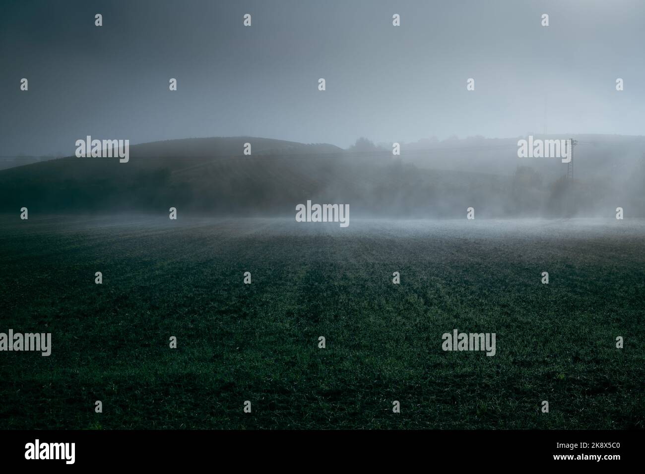 Le nuvole di nebbia si trovano su un campo di verde fresco di fronte a colline poco profonde in un'atmosfera buia dopo una notte fredda. Foto Stock