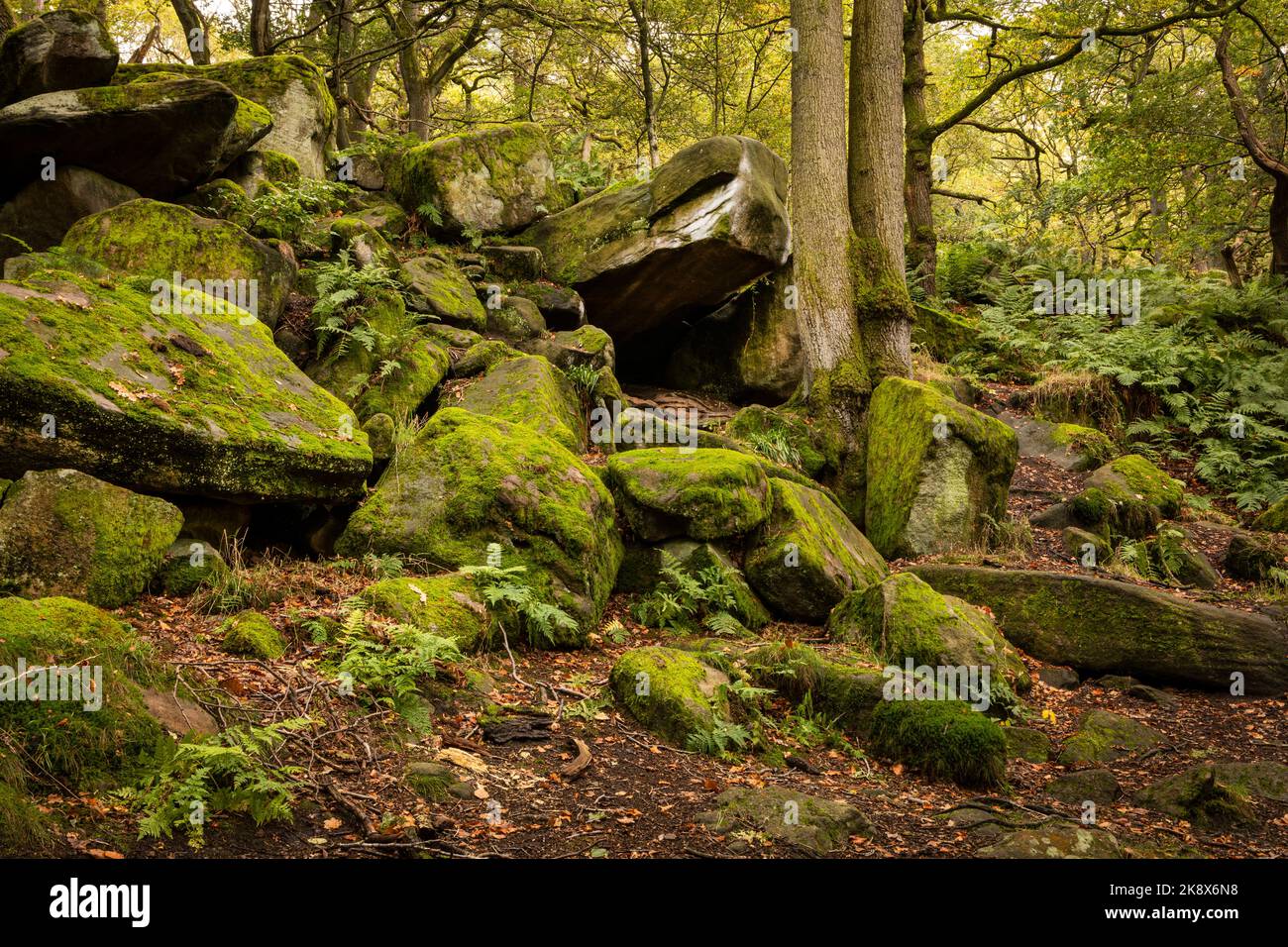 Rocce ricoperte di muschio e una piccola grotta a Padley Gorge nel Peak District del Derbyshire Foto Stock