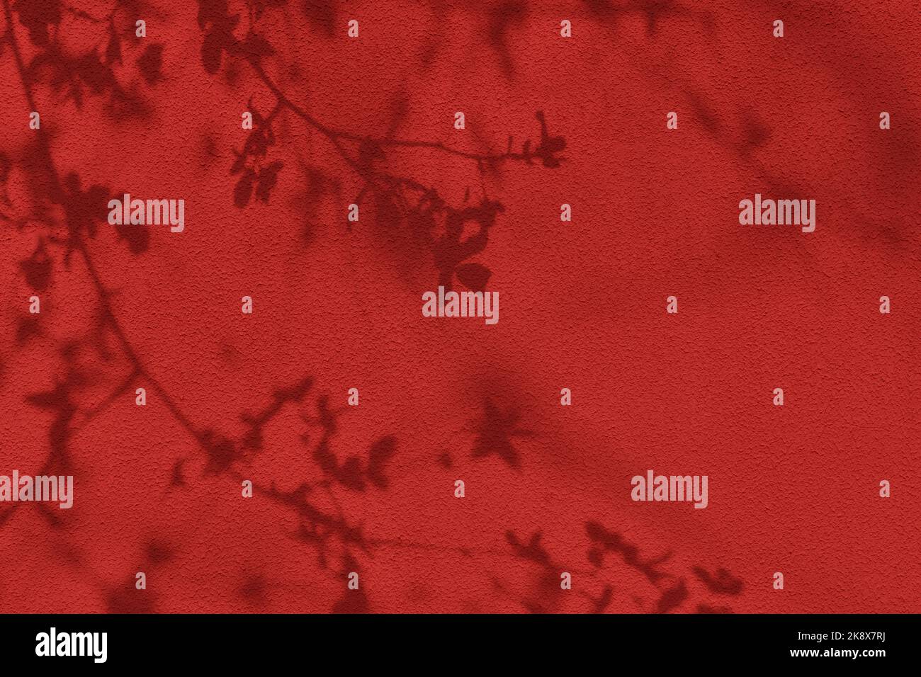 Ombra di foglie su sfondo rosso di struttura muraria in cemento Foto Stock